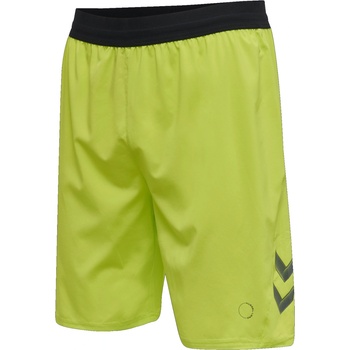 Hummel Шорти Hummel LEAD PRO TRAINING SHORTS 207420-6242 Размер M