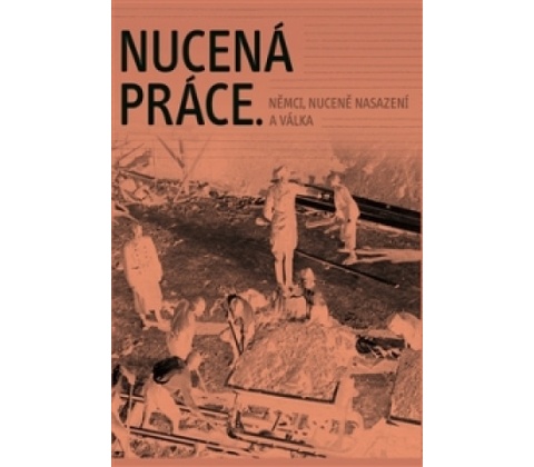 Nucená práce
