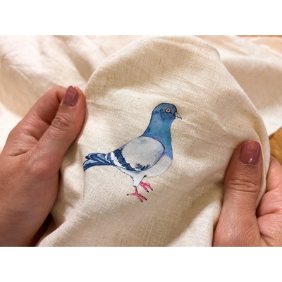 ePiPí Nažehlovačka Holub – Hledejceny.cz