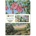 Flame Tree Publishing Kew Gardens' Marianne North Set of 3 Mini Notebooks | Flame Tree Studio