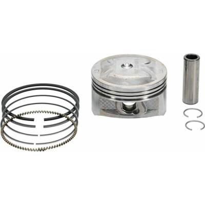 Vertex 24566050