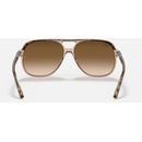 Image 1 of Ray-Ban Bill RB2198 129251