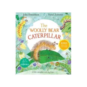 Image 1 of Woolly Bear Caterpillar