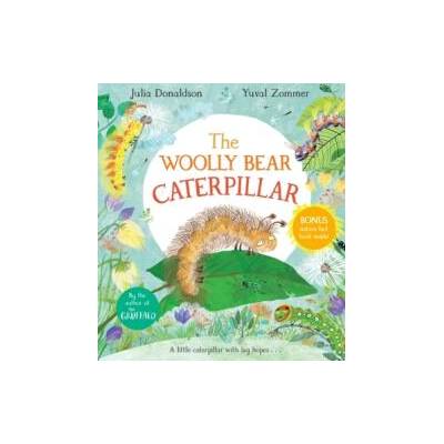 Woolly Bear Caterpillar