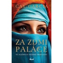 Za zdmi paláce