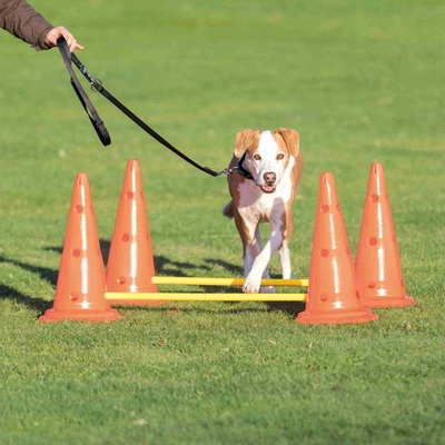 Trixie Dog Activity prekážky 2 ks 30x50 cm / 100 cm