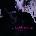 Candlemass - From The 13th Sun (2 LP) (0801056852212)