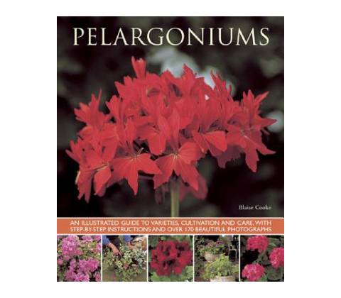 Pelargoniums