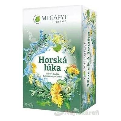 MEGAFYT Horská louka bylinná směs porcovaná 20 x 1,5 g