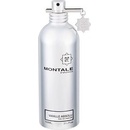 Montale Vanille Absolu parfumovaná voda dámska 100 ml