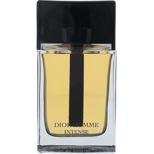 Christian Dior Intense 2011 parfémovaná voda pánská 100 ml
