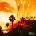 Ryan Adams - Ashes & Fire (Reissue) (LP) (0198029463217)