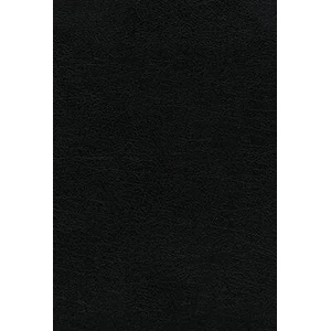 NVI Biblia de Estudio, Teología Bíblica, Piel Reciclada, Negro, Interior a Cuatro Colores: Sigue El Plan Redentor de Dios Como Se Desenlaza En Las Esc | D. A. Carson, T. Desmond Alexander, Richard Hess (ISBN: 9780829770506)