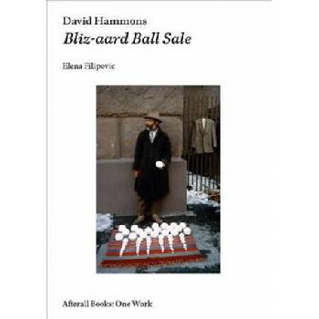 Image 1 of David Hammons | Elena Filipovic