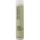 Paul Mitchell Clean Beauty Anti-Frizz Shampoo 250 ml