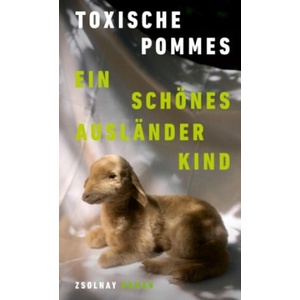 Ein schönes Ausländerkind | Toxische Pommes (ISBN: 9783552073968)