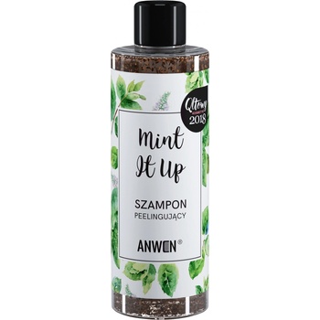 Anwen Mint It Up Peelingový šampon 200 ml