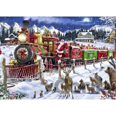 BlueBird Santa Express USA 500 dielov