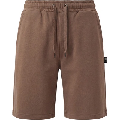 Iceberg 2030 Brown