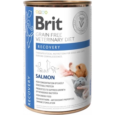 Brit Veterinary Diets GF Dog Recovery 400 g