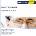 Robert Schumann - schumann robert CD