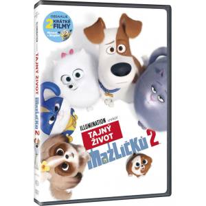 MagicBox Сами вкъщи 2 - dvd (029310)
