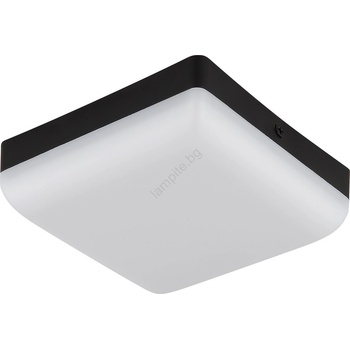 GLOBO MATTHEW 12388-8