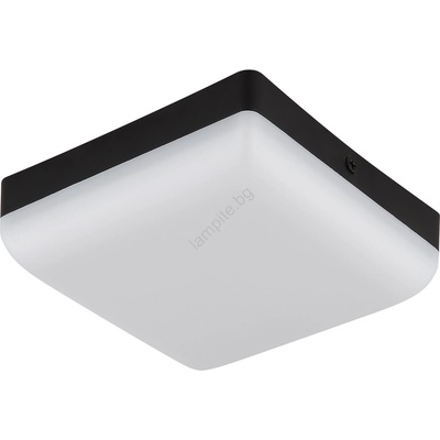 GLOBO MATTHEW 12388-8