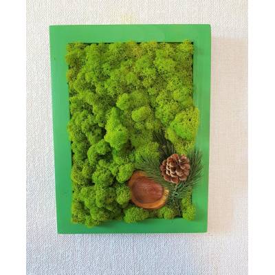 Mechový obraz 40cm x 30cm