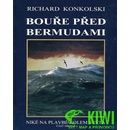 Bouře před Bermudami