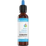 Bioherba Drops Bach Flower Remedies Cerato | Ceratostigma Willmottiana [50 мл]