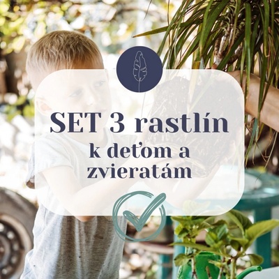 SET 3 rastlín k deťom a zvieratám