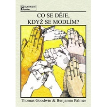 Co se děje, když se modlím? - T. Goodwin, B. Palmer