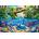 Castorland - Puzzle Wild Nature - 1 000 piese
