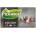 Pickwick Черен чай Pickwick Earl Grey ароматизиран 20 x 2g (40g)
