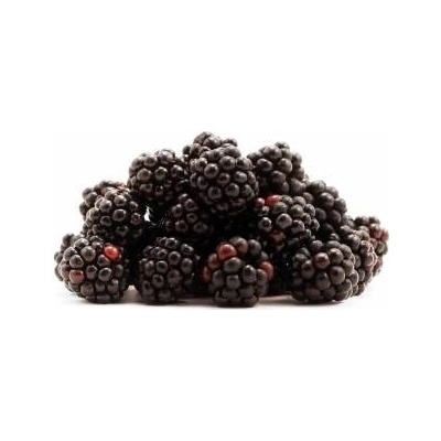 Joypaste Ochucovacia pasta Černica (200 g) 4090 - dortis