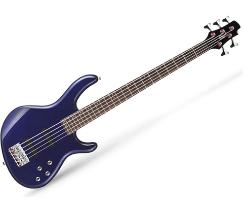 CORT Action Plus BK