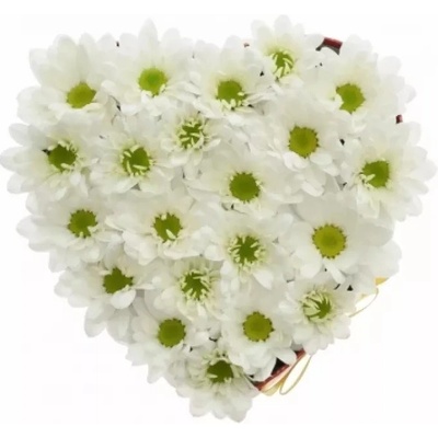 Krabička květin ANAMARI červená 15x8cm