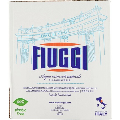 Fiuggi prírodná voda 6 x 1 l