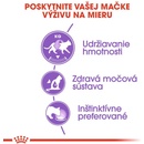 Royal Canin Sterilised v želé 12 x 85 g