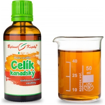 Bylinné kapky Celík zlatobyľ kanadský kvapky Duša rastlín tinktúra 50 ml