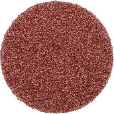 Pferd 42832118 | PSA-Discs 20 A 180
