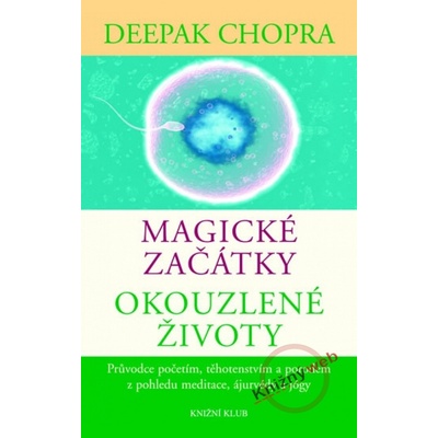 Magické začátky, okouzlené životy