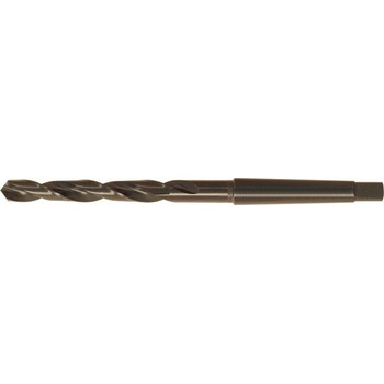 Fortis 10241650