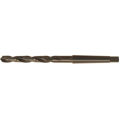 Fortis 10241650