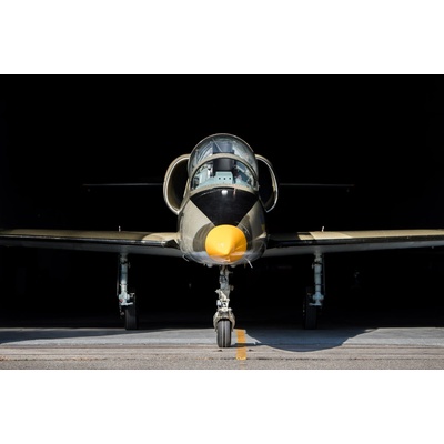 Let stíhačkou L-39 Albatros Brno