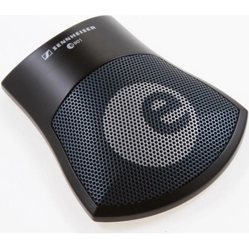 Sennheiser E901