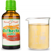 Bylinné kapky Outkovka pestrá kvapky Duša rastlín tinktúra 50 ml