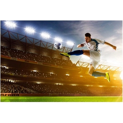 Dimex MS-5-0306 vliesová fototapeta na zeď Futbalový hráč rozmery 375 x 250 cm