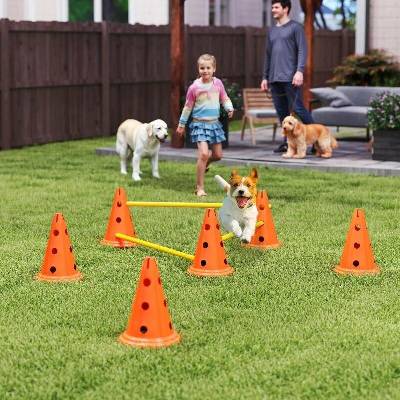 PawHut Agility set pro psy
